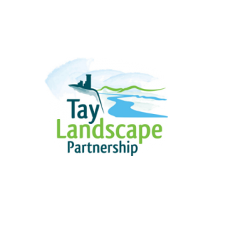 TAY LP Logo