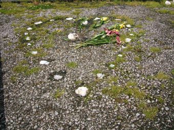 A heart made out of pebbles with a flower in the middle