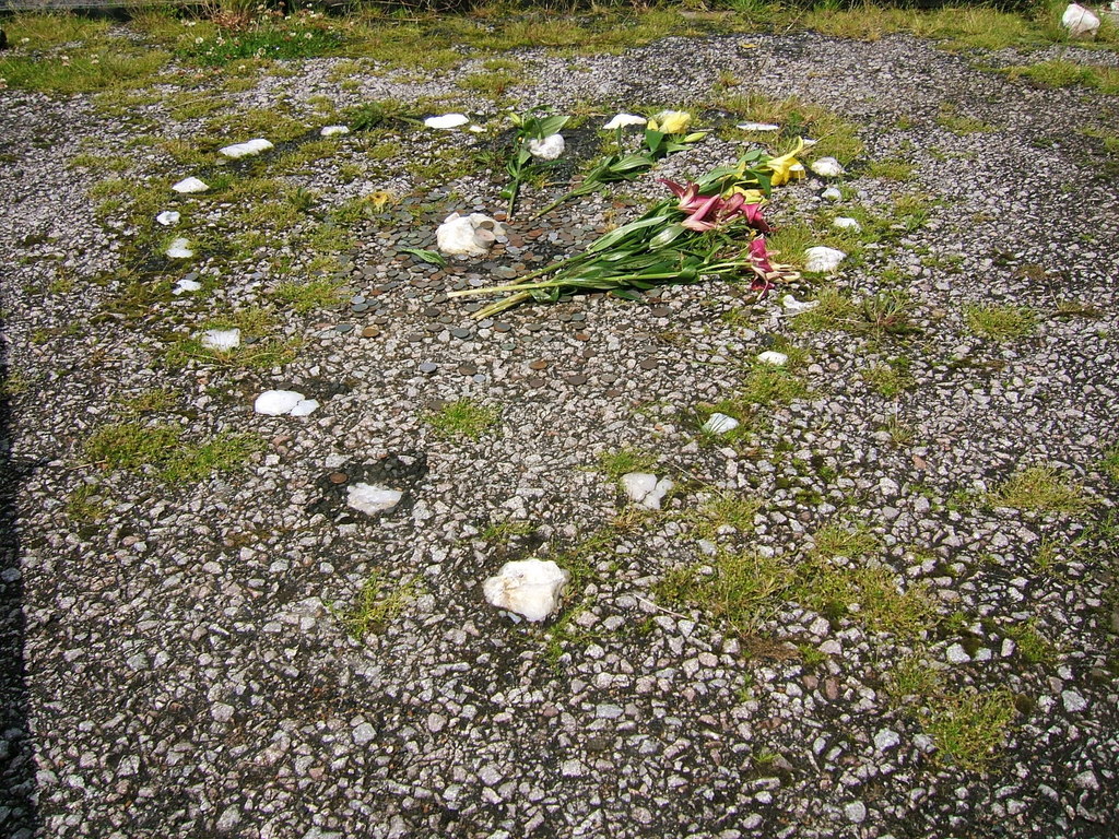 A heart made out of pebbles with a flower in the middle