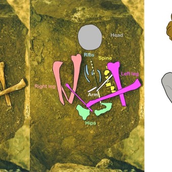 ava-beaker-burial-1-credit-maya-hoole