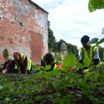 People digging at the building shaped like a pineapple