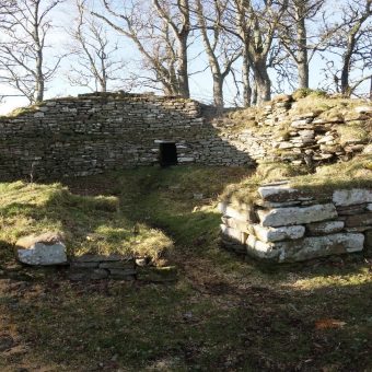 Overgrown Iron Age broch ruin