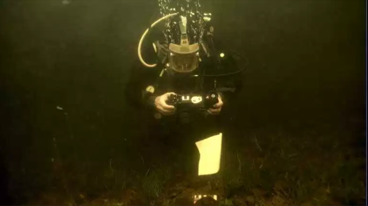 Diver