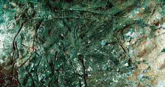Close up photo of a piece of carved stone depicting the outline of a boar.