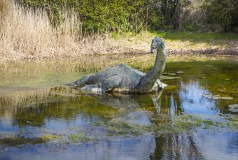 Photo of a model of the Loch Ness monster in a shall part of a loch.