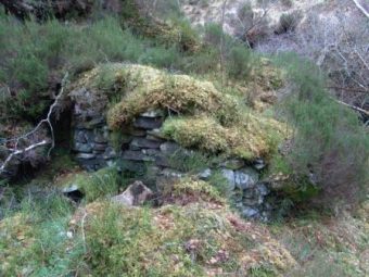 Photo of a low stone wall covered with moss up against a mound of earth.