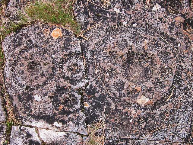 This site, accessed by walking from the car park at Carnasserie Castle, comprises four sheets of exposed rock decorated by around 200 pecked carvings. The carvings range from simple cups, to cups and rings, to more complex “rosette” patterns incorporating additional cups within the rings.