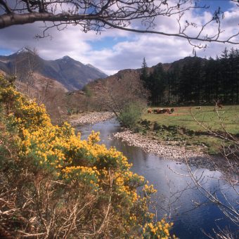 Photo of a small square medieval-like castle on an island in a loch, connected to the mailand by a small arched bridge.