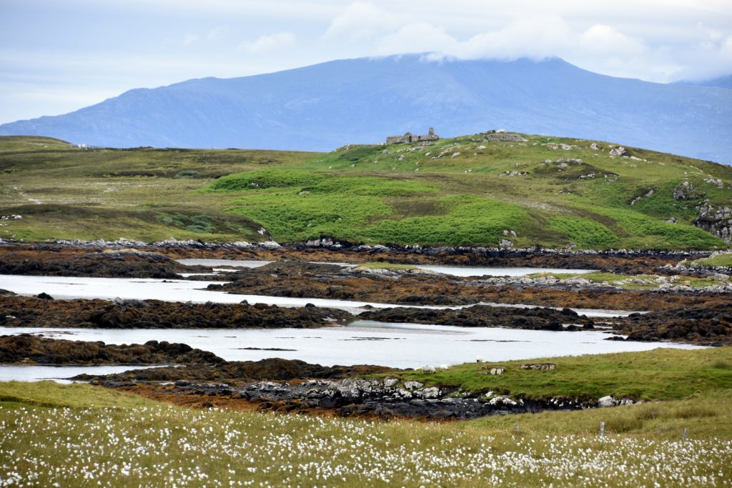 Photo of rock pools with misty hills in the background.