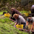 People digging