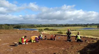 People digging in a field
