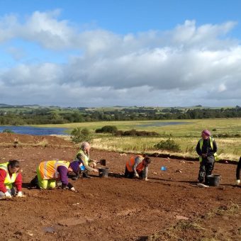 People digging in a field