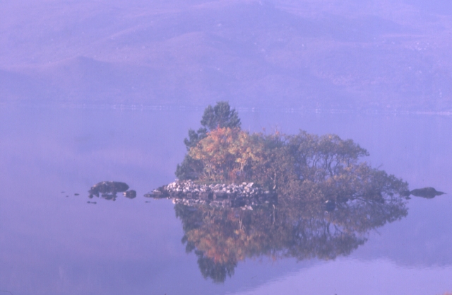 An island with trees in the middle of a body of water