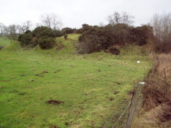 Grassy mound