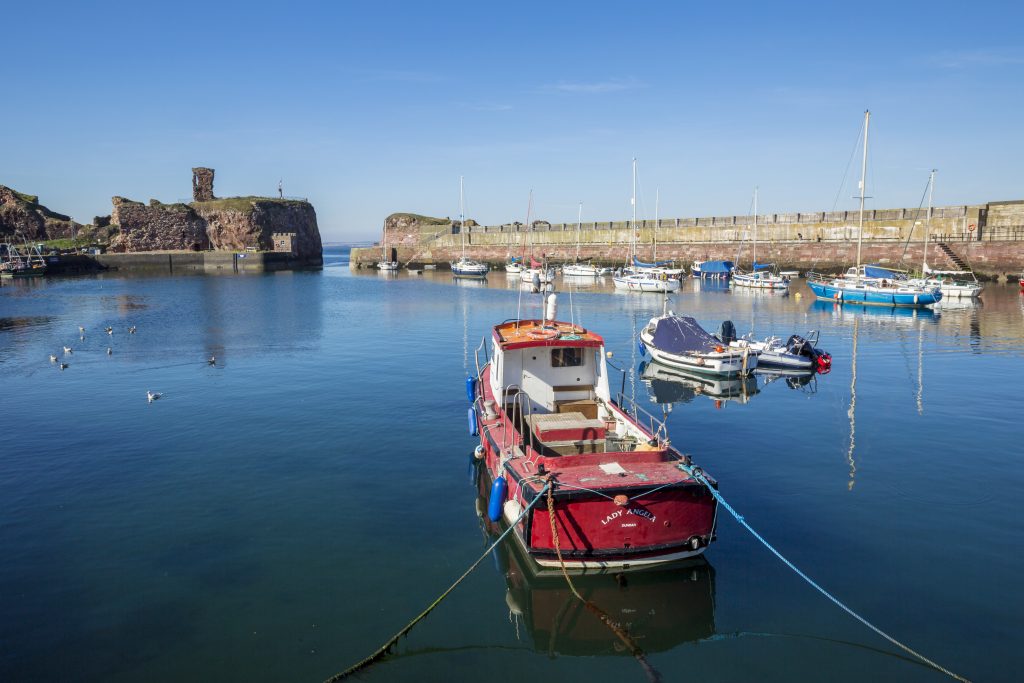 Photo of a small harbour on a clear day, with a ruined castle in the background.