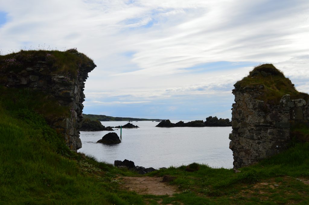 DSC_0756