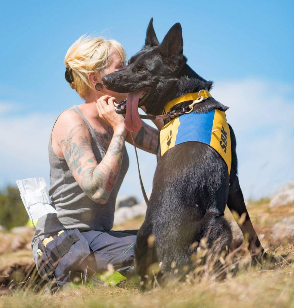 Archaeodogs – digging into archaeology