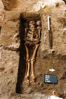 Skeletons in a grave