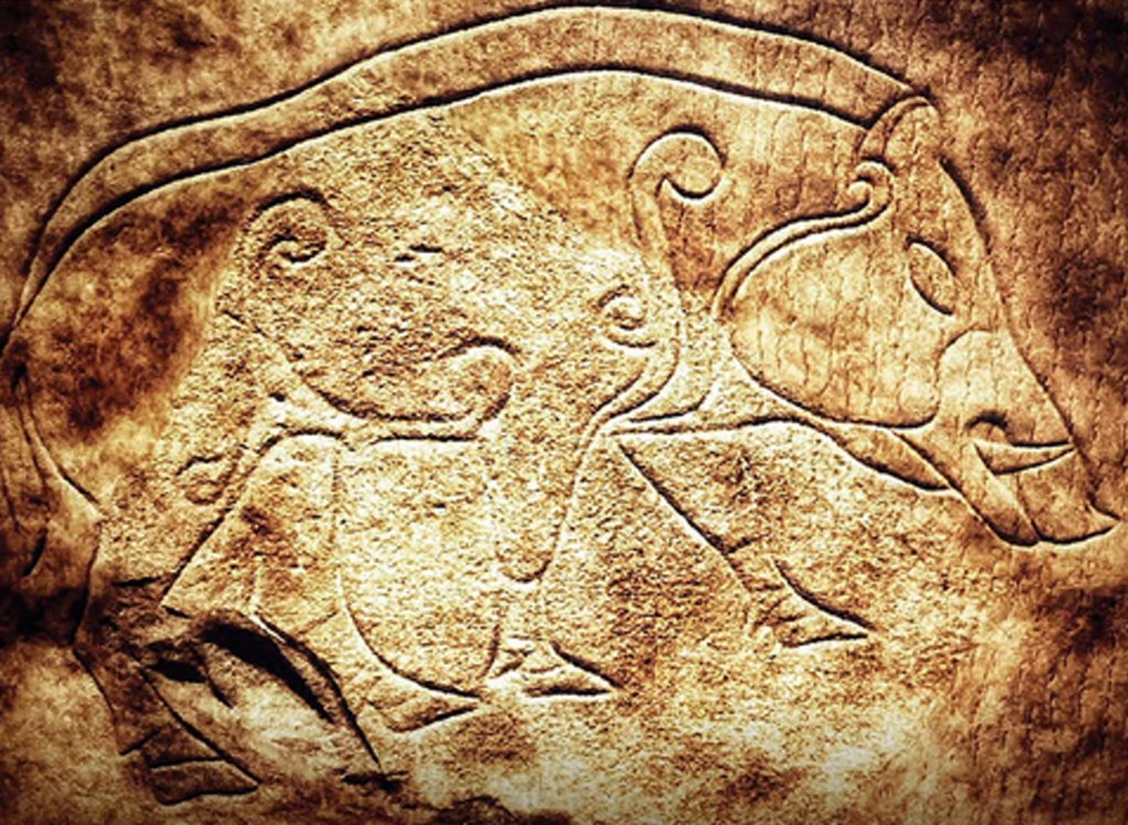 The King in the North: the Latest Progress on the Northern Picts Project