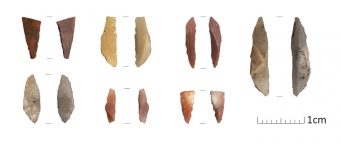A selection of small stone tools