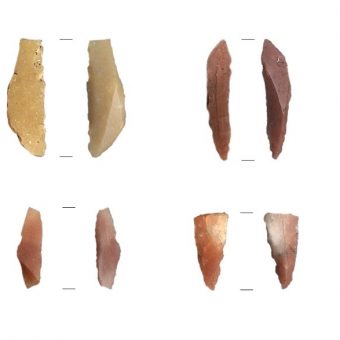 A selection of small stone tools