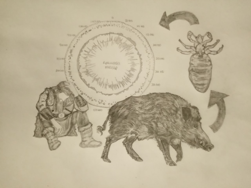 DigItLouse