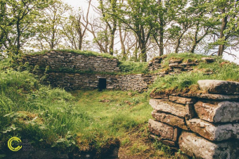 Photo of a circular stone dwelling covered in moss in a secluded wood.