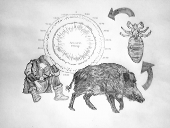 Illustration of a Viking looking upset and a boar pointing towards a tick pointing towards a circle with writing on it