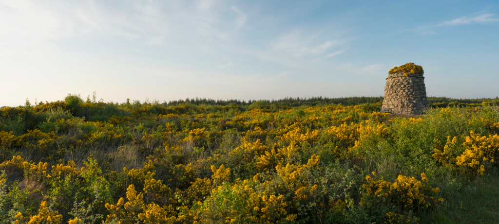 Culloden (VisitScotland / Kenny Lam)