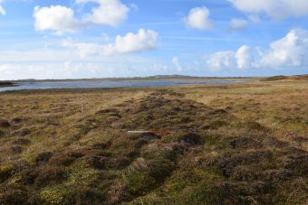 Photo of the earthwork remains of a dyke in a field under a blue sky.
