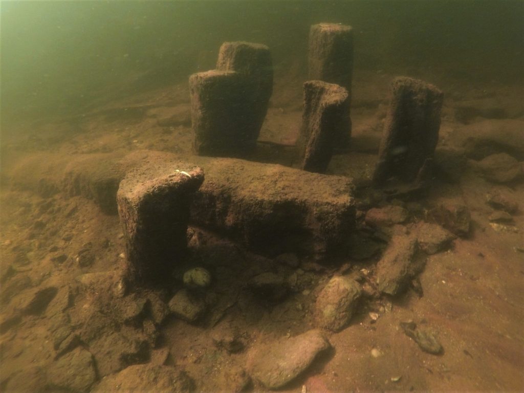 Photo taken underwater of the stumps of prehistoric timber supports embedded into the loch bed.