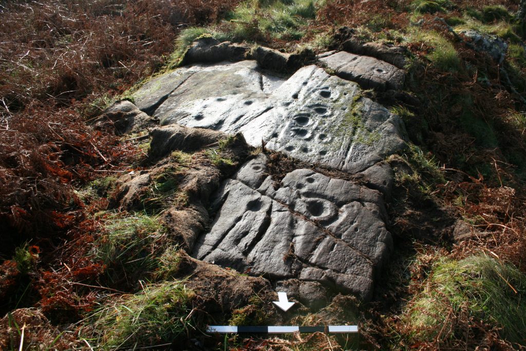 Photo of a cracked stone in a mossy field with circular marks over it.