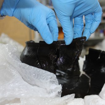 Someone wearing blue gloves holding a broken bowl