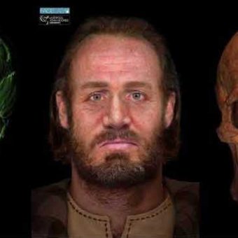 A series of skulls and facial reconstructions