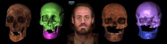 A series of skulls and facial reconstructions