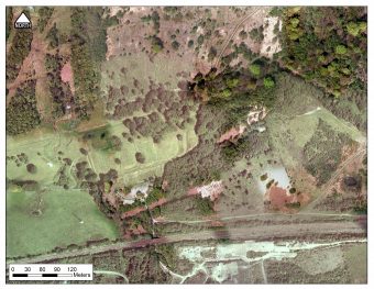 Aerial photo of a brown and green landscape with trees