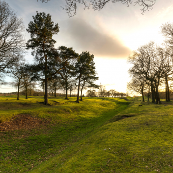 Photo of an earthwork ditch leading off into the distance with trees either side