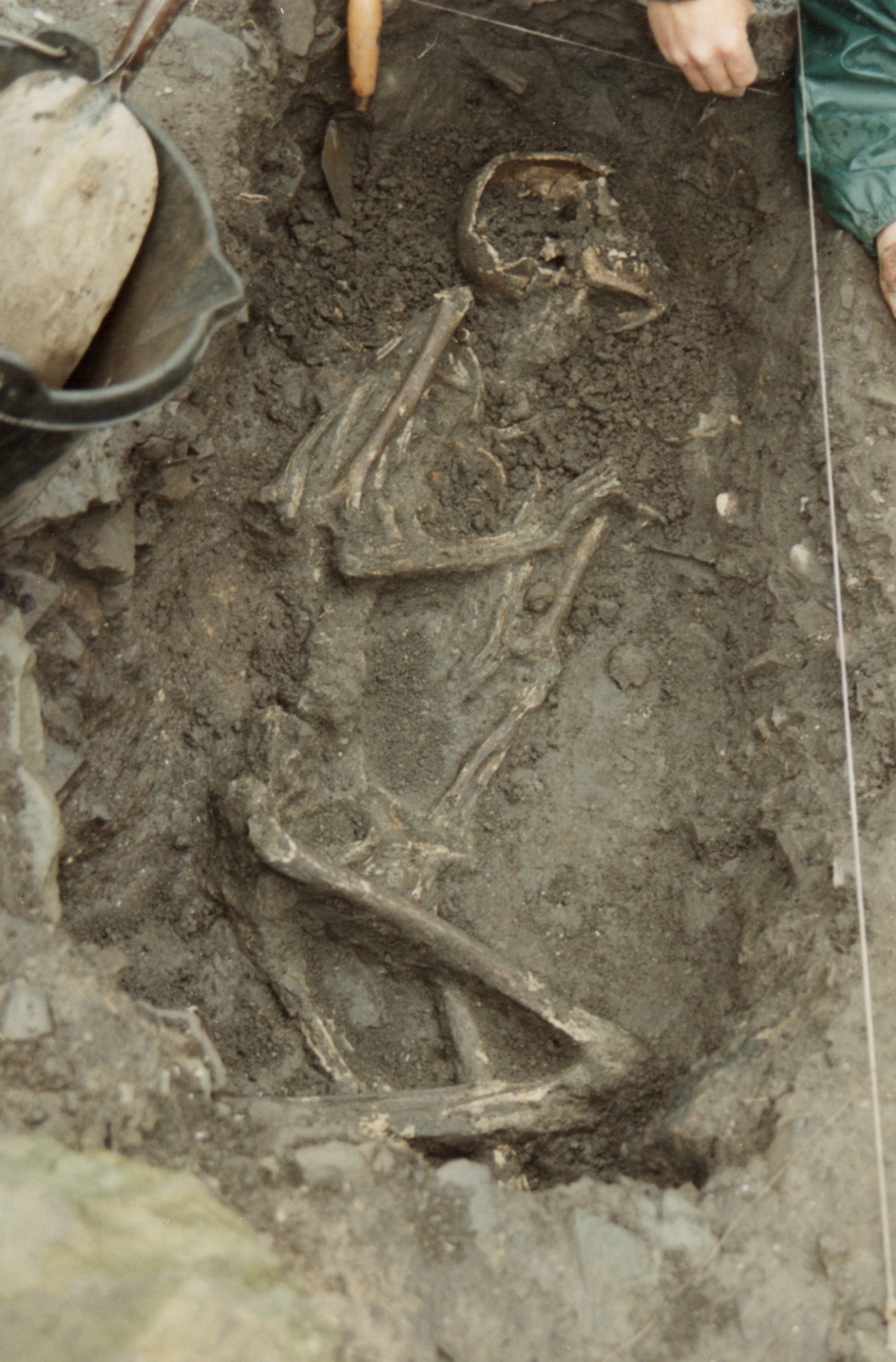 Photo of a human skeleton in a fetal position in a medieval grave