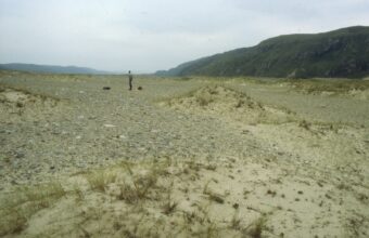 A scatter of stones on sandy ground - a person in the distance