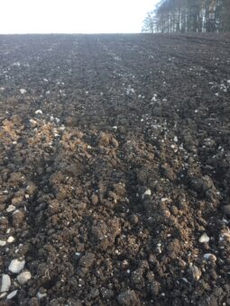 A ploughed field