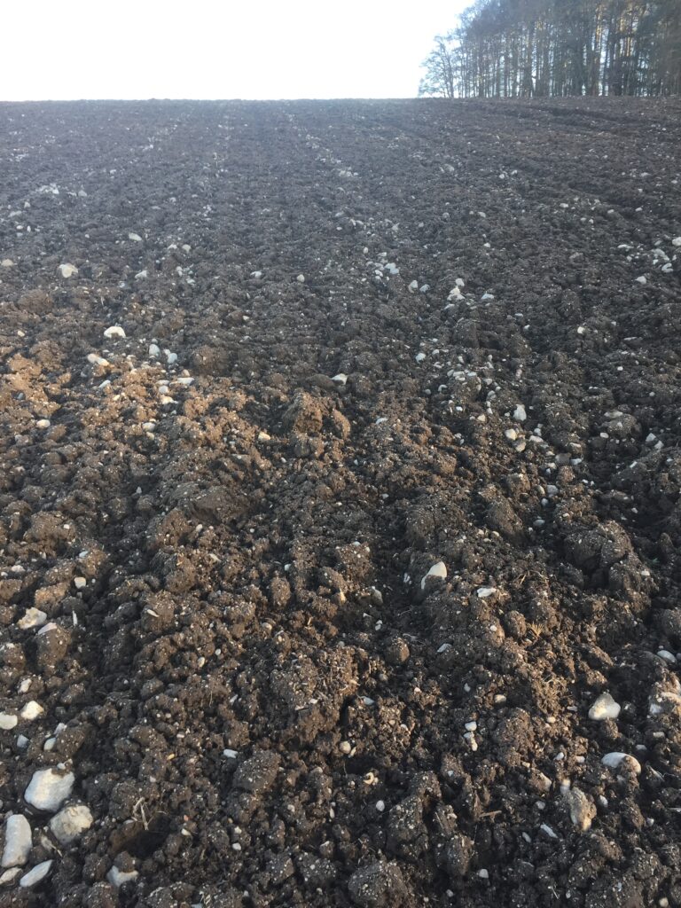 The surface of a ploughed field can be a good place to find traces of past communities such as stone tools that were used in prehistory (Image credit: Mesolithic Deeside)
