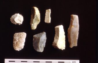 Several stones with marks on them of various sizes on a black background