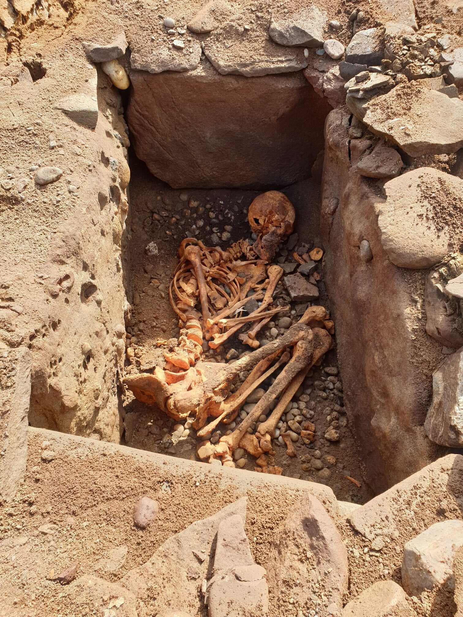 A skeleton in a stone "coffin"