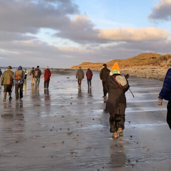 A group of people walking along a beach in later afternoon light