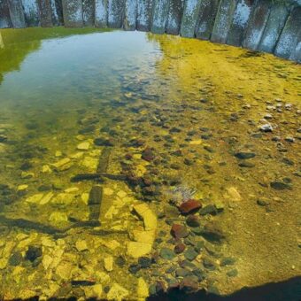 Photo of wooden planks underwater beneath a bridge