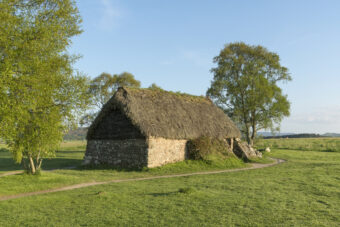 Photo of a long, stone-built thatched cottage in a field flanked by trees