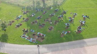 People digging in square holes across a lawn
