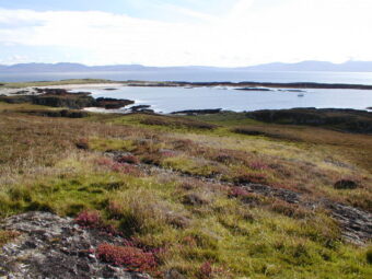 Photo of an island covered in grass and purple heather
