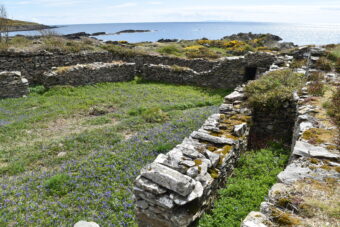 Photo of the ruined stone foundations of a castle by the sea