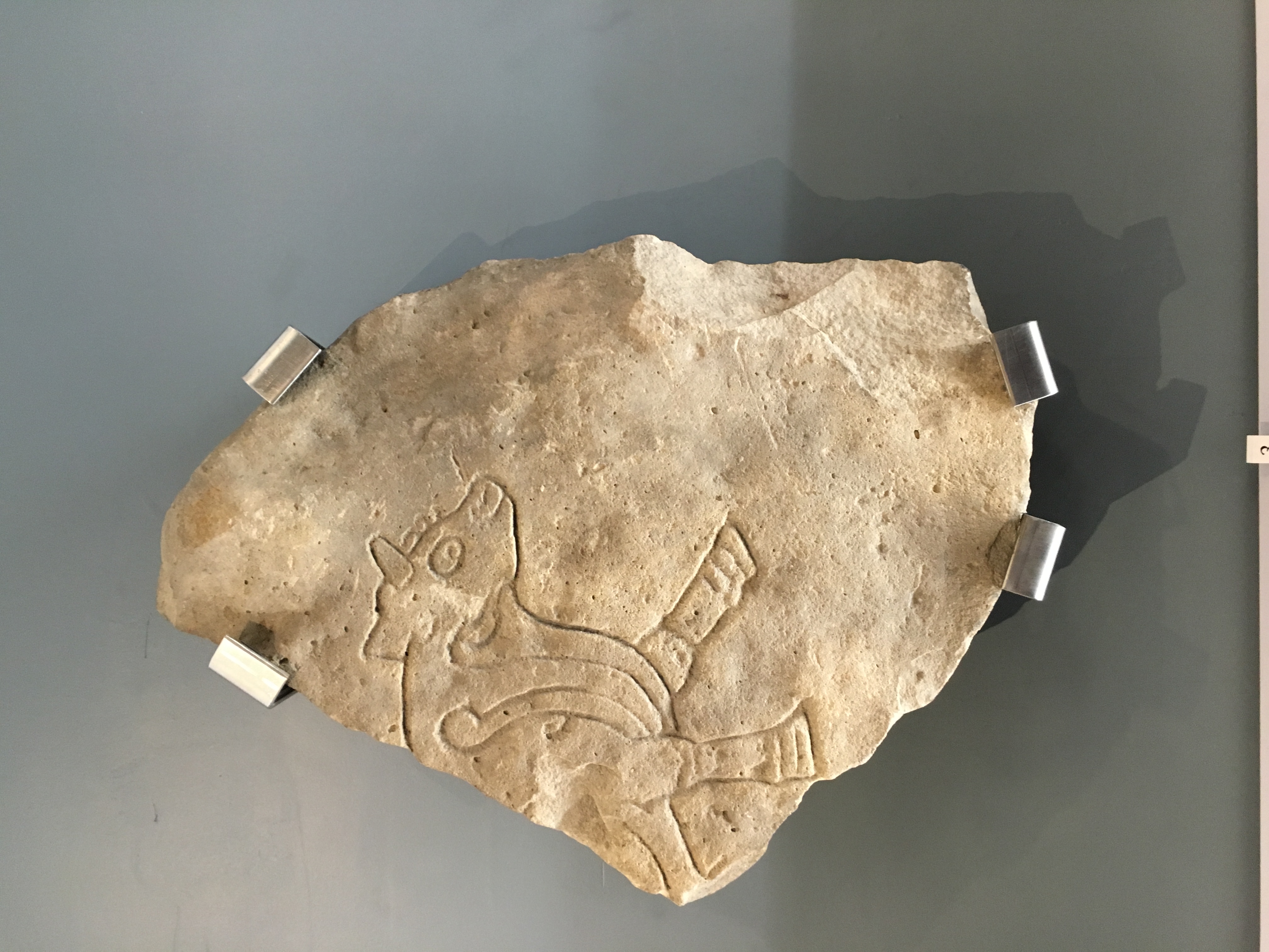 Burghead_6_Pictish_Symbol_Stone